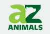 A-Z Animals